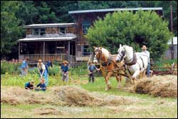 The Knights constructed their home and barn for about $3,000, using salvaged materials and hand tools. On their farm in rural Kentucky, they primarily use hand labor and horsepower.